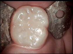 MI Dentistry MI Dentistry